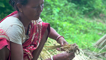 Jute: Learn from the Wisdom of India