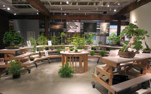 Open MUJI