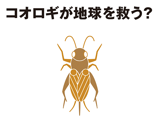 【製品】無印良品 コオロギせんべい　開発のお知らせ