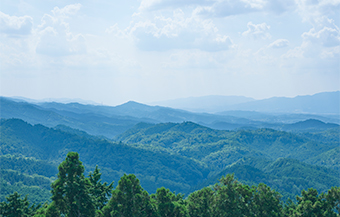 吉野山の風景画像